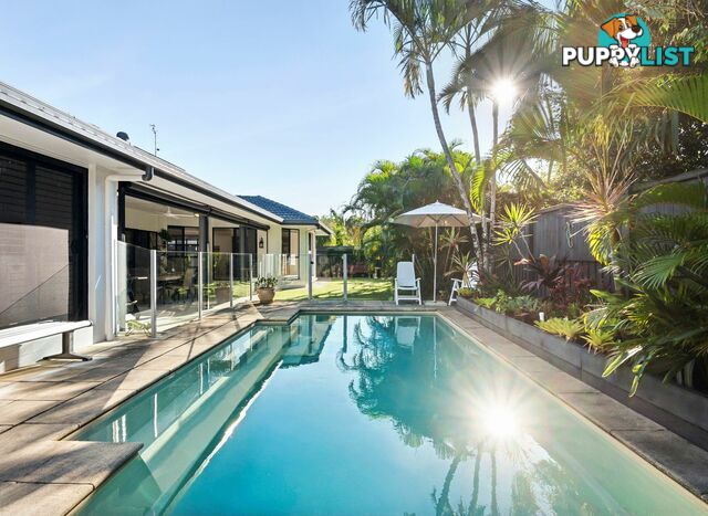 8 Fantail Place TWIN WATERS QLD 4564