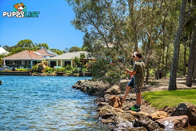 8 Fantail Place TWIN WATERS QLD 4564