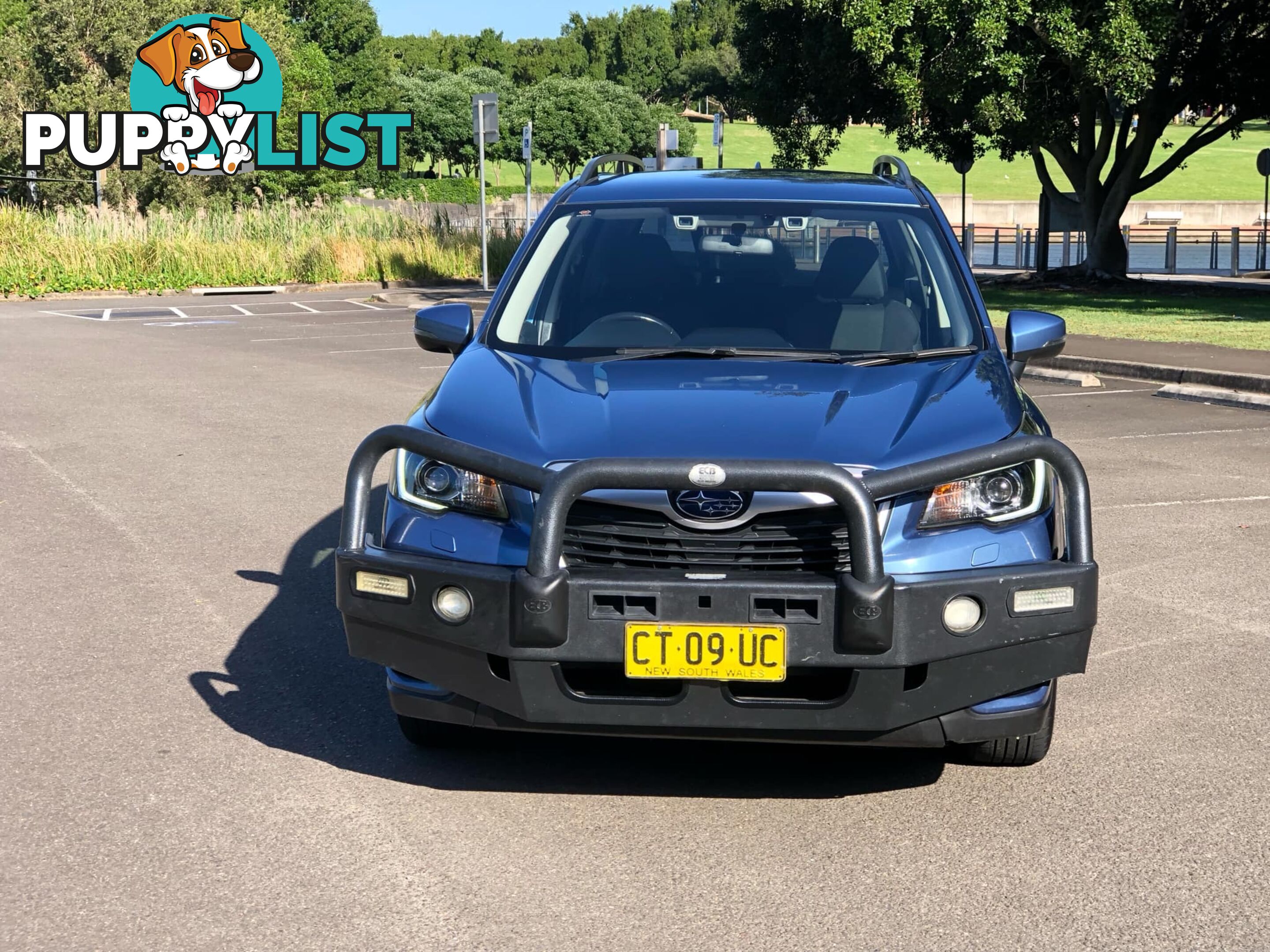 2019 Subaru Forester MY19 2.5i (AWD) Wagon Automatic