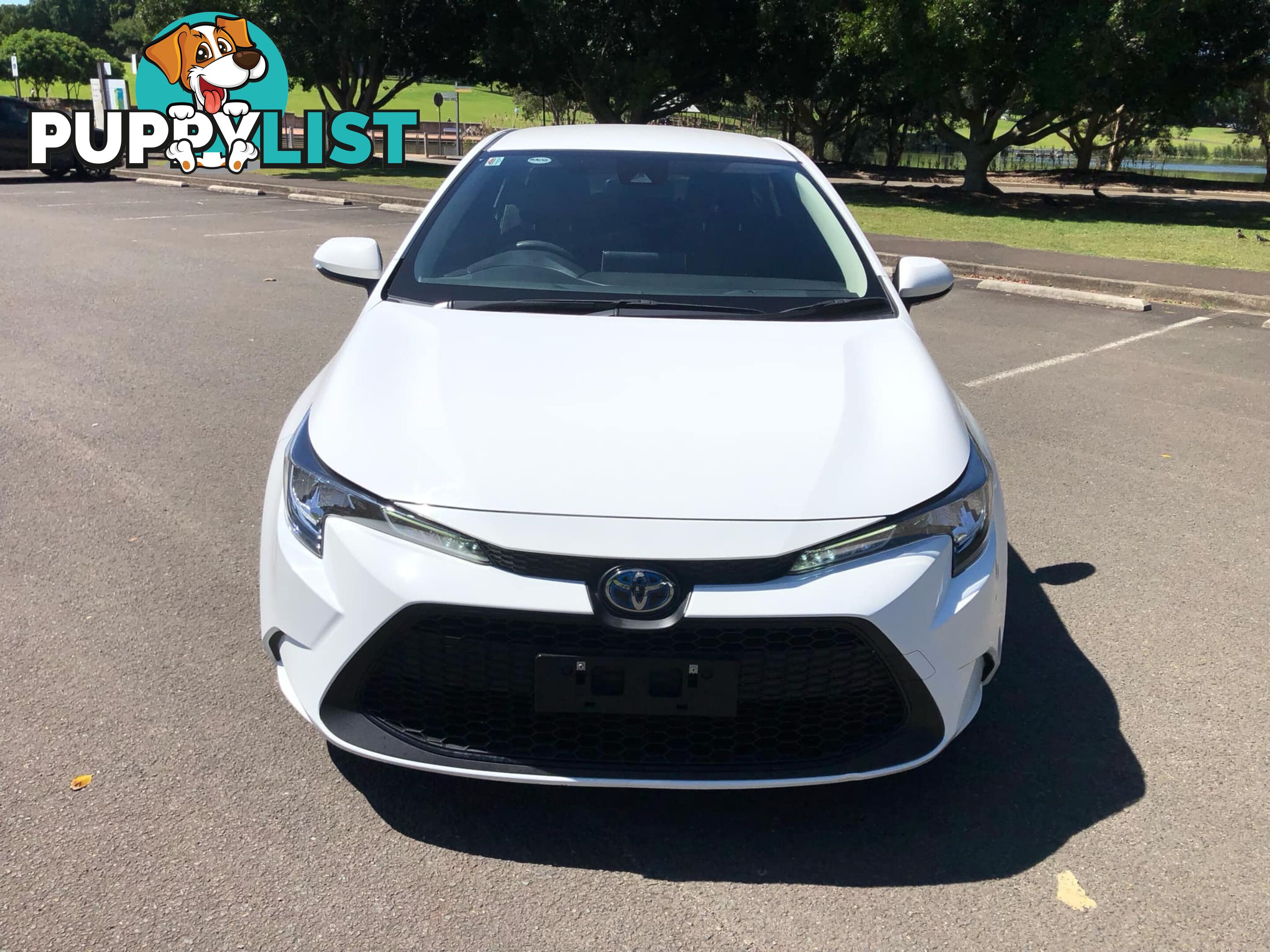 2020 Toyota Corolla ZWE211R Ascent Sport Hybrid Sedan Automatic