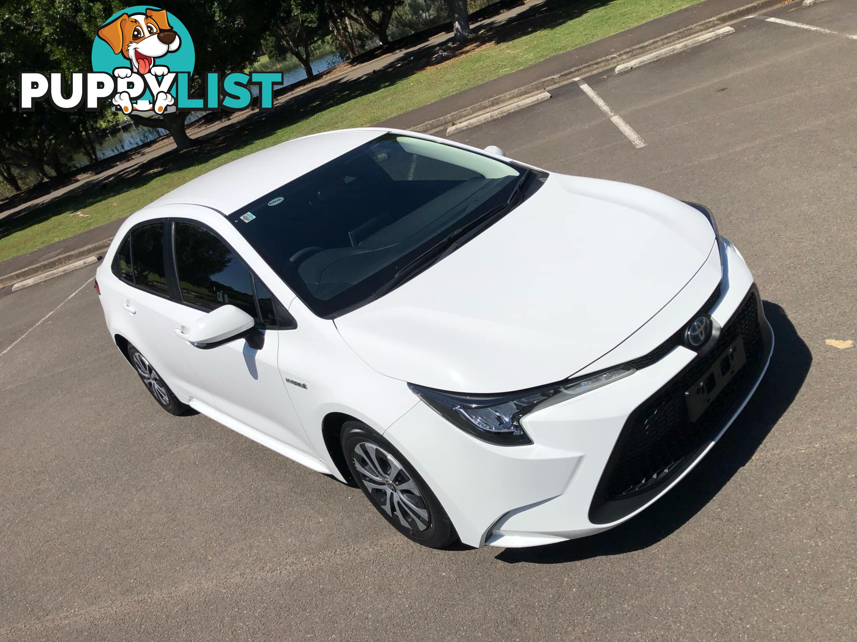 2020 Toyota Corolla ZWE211R Ascent Sport Hybrid Sedan Automatic