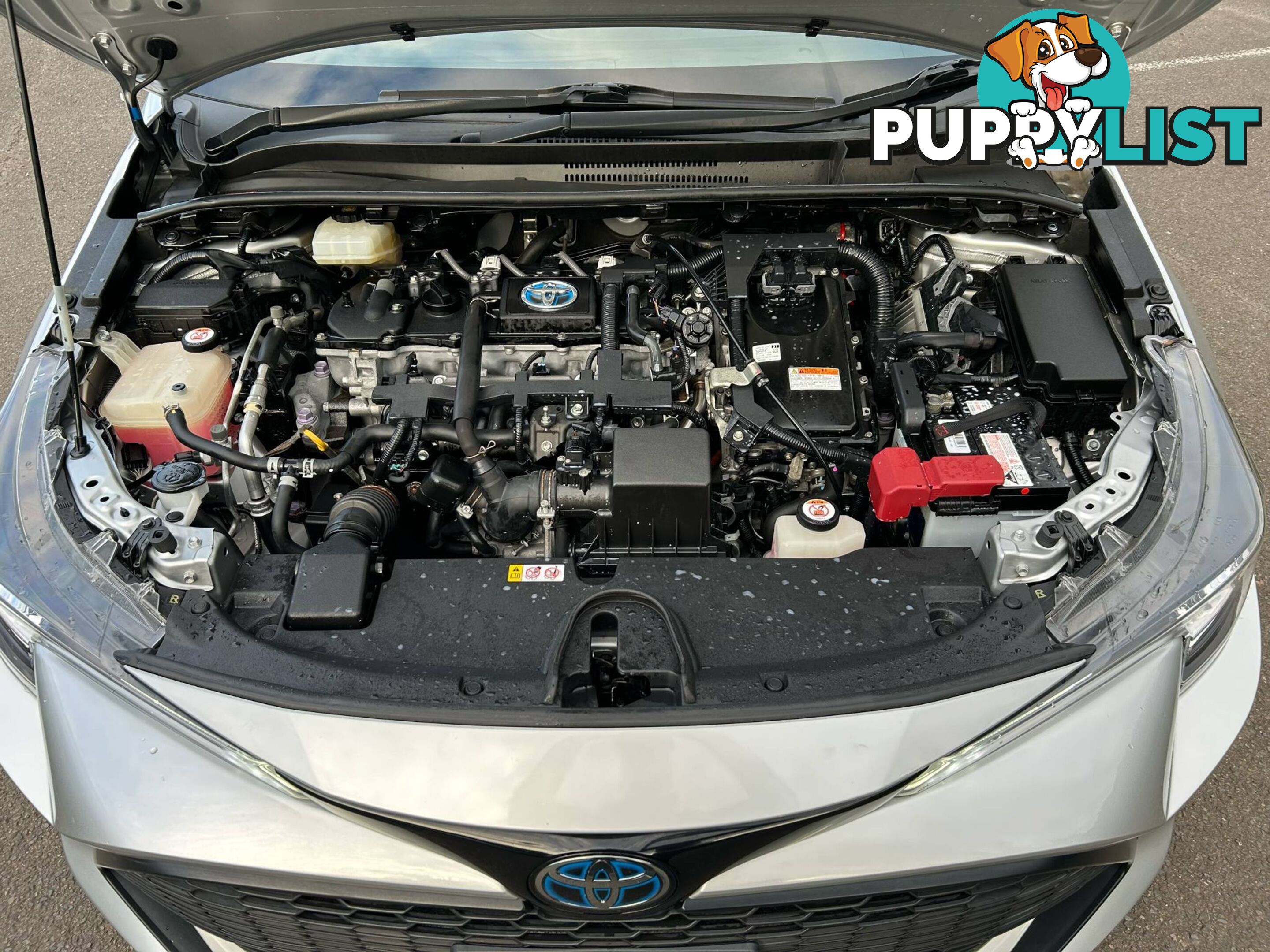 2019 Toyota Corolla ZWE211R ASCENT SPORT HYBRID Hatchback Automatic