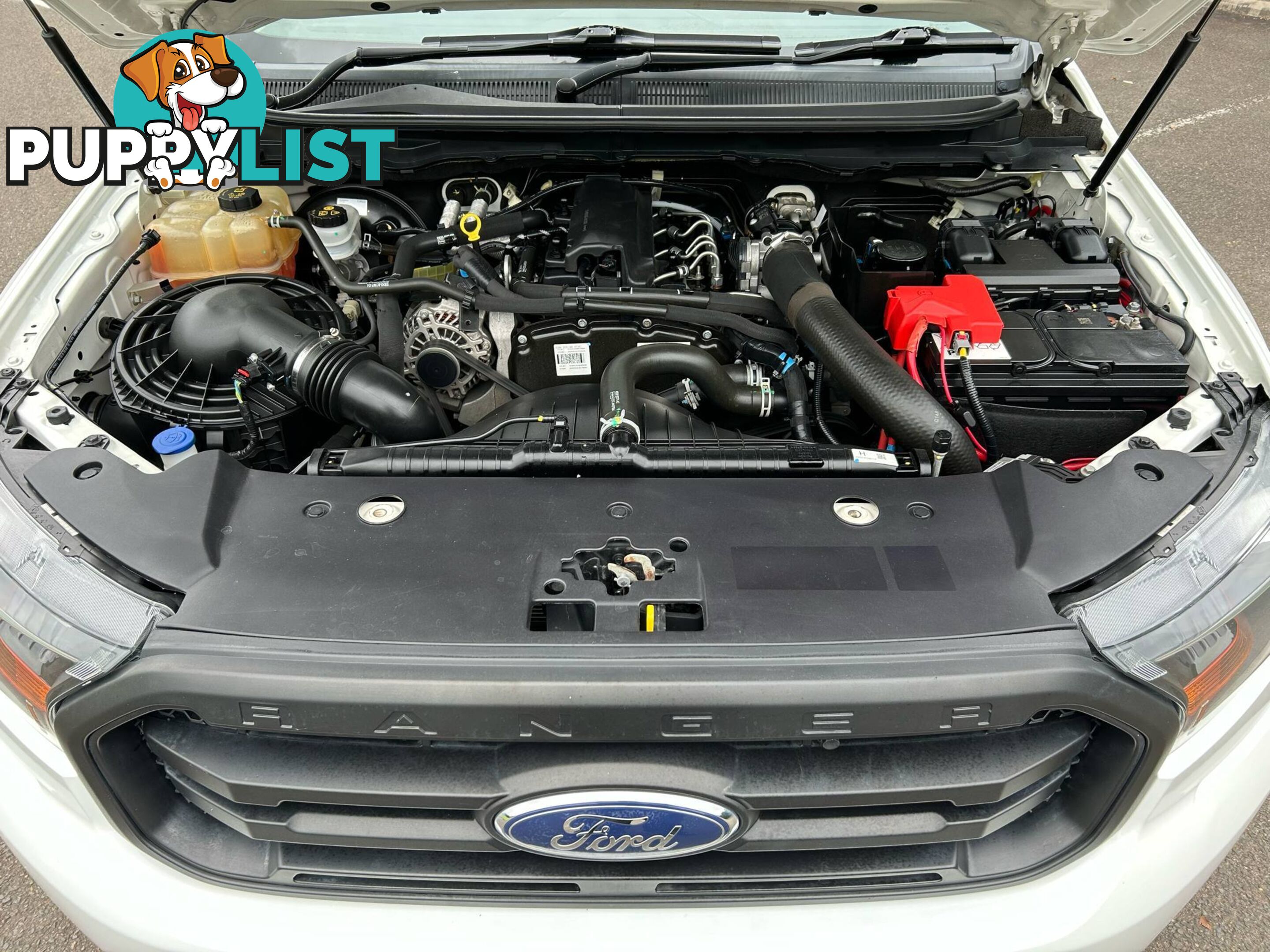 2021 Ford Ranger PX MKIII MY21.25 XL 2.2 Low Rider (4x2) Ute Manual
