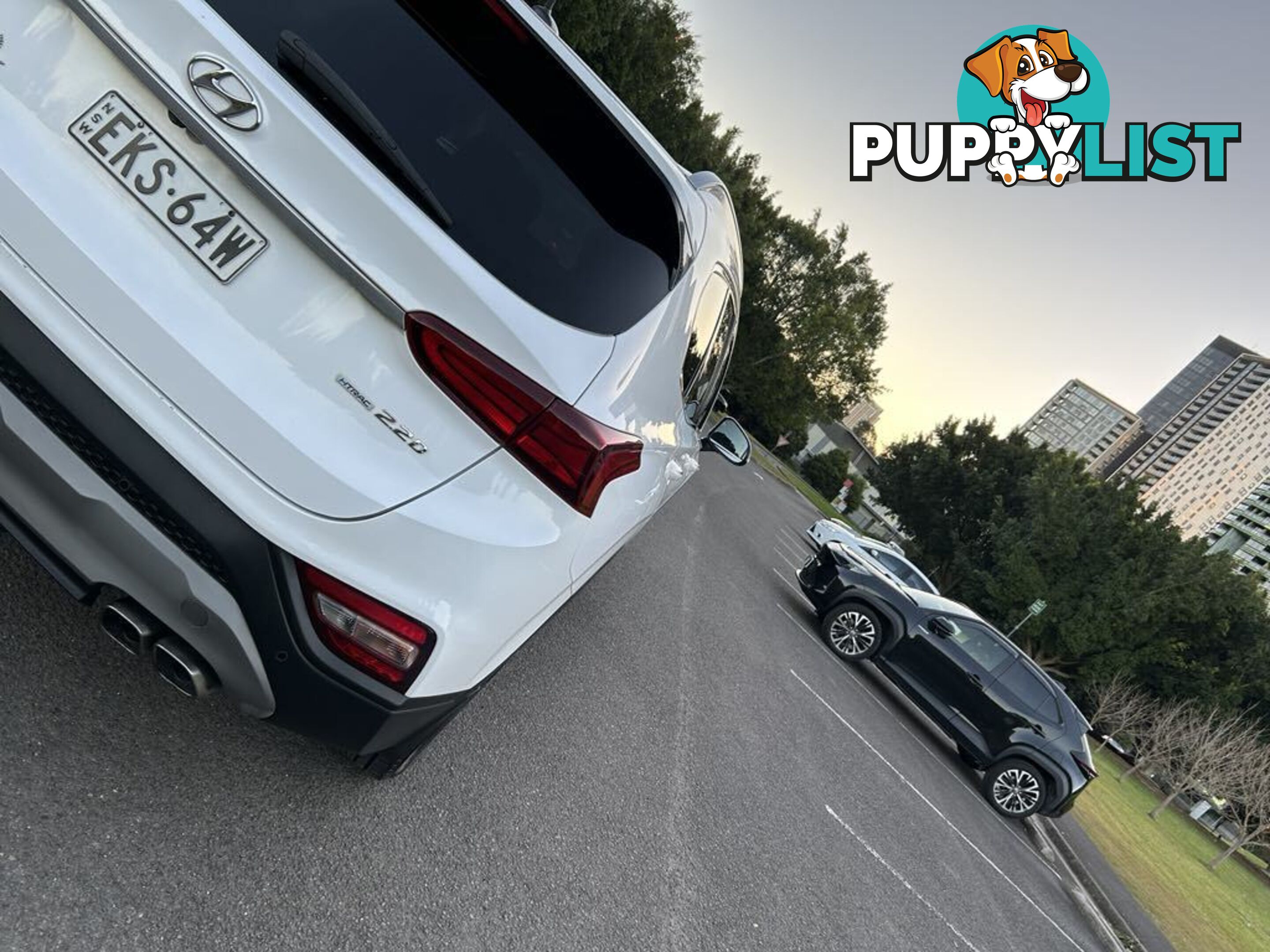 2020 Hyundai Santa Fe TM.2 MY20 4X4 ON DEMAND ACTIVE X CRDI (AWD) Automatic 7 Seater Wagon