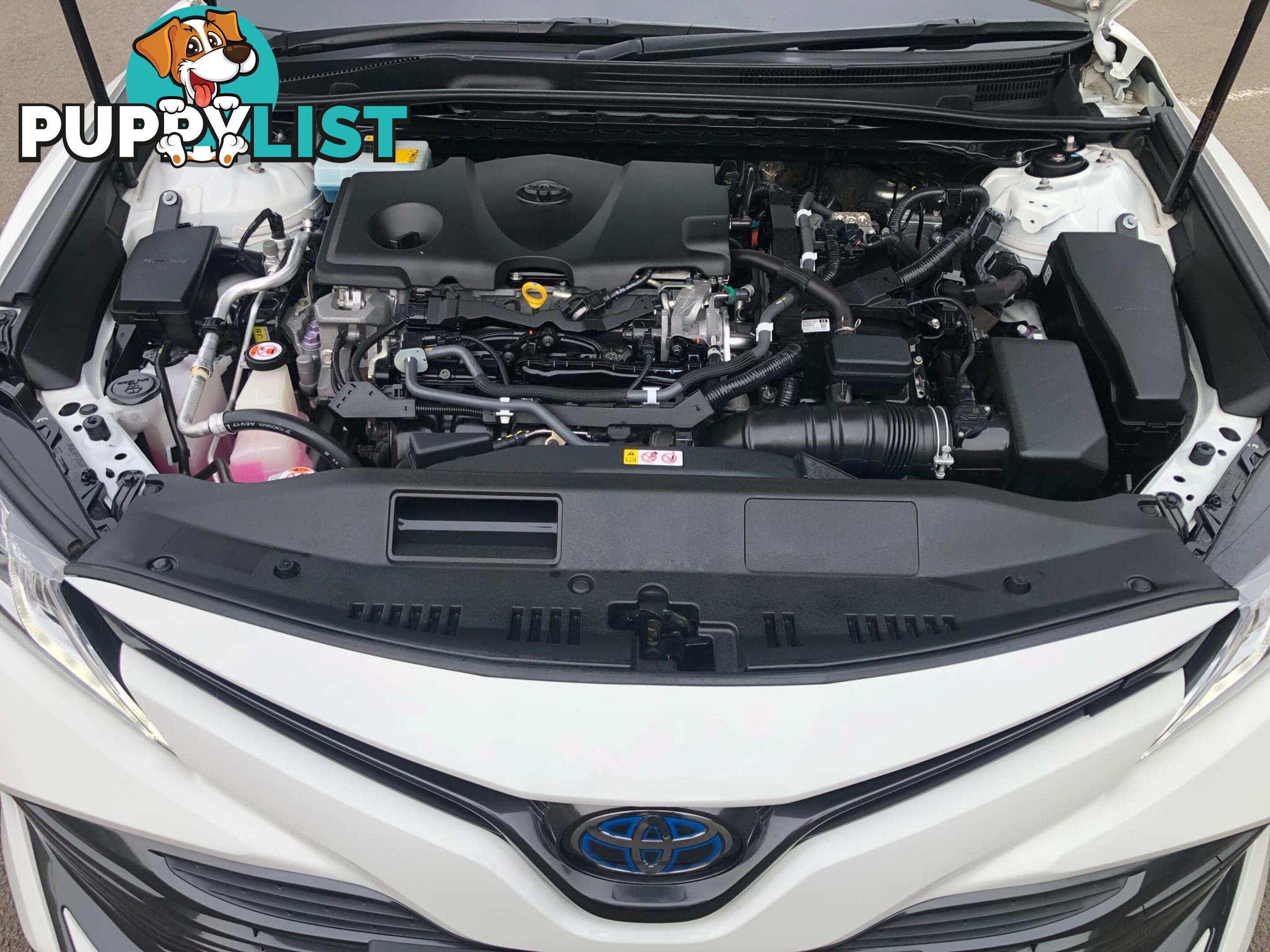 2018 Toyota Camry AXVH71R MY19 ASCENT (Hybrid) Sedan Automatic