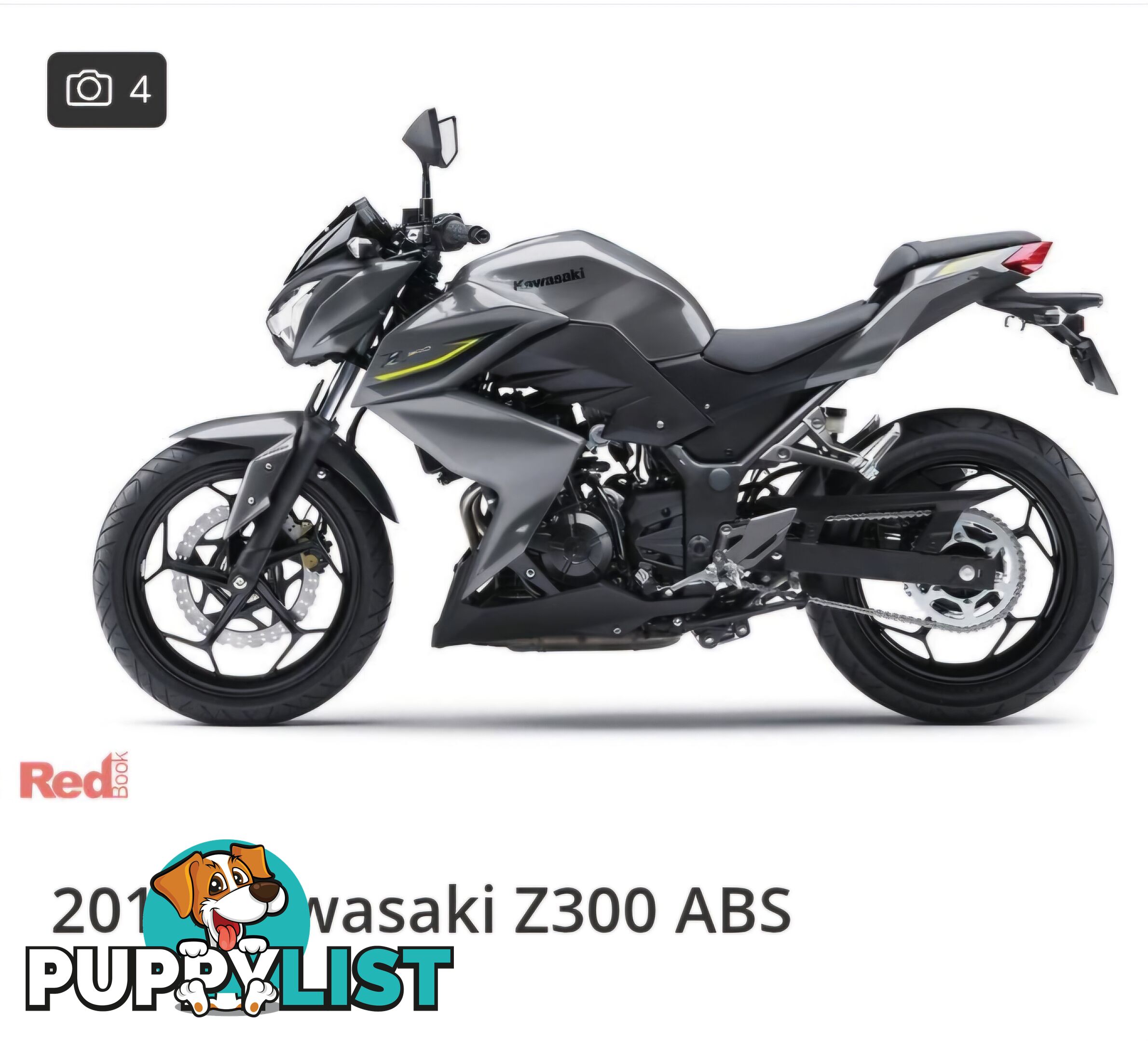 2017 Kawasaki Z300 ABS