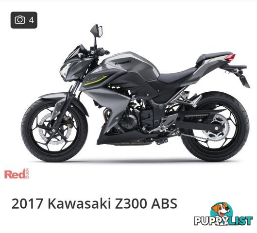 2017 Kawasaki Z300 ABS