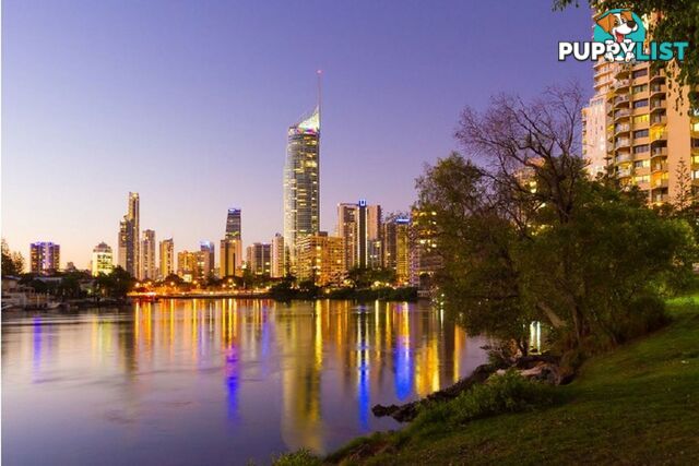 SURFERS PARADISE QLD 4217