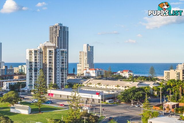 SURFERS PARADISE QLD 4217