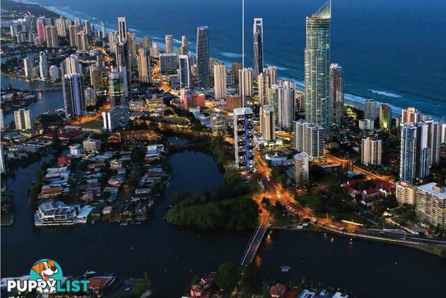 SURFERS PARADISE QLD 4217