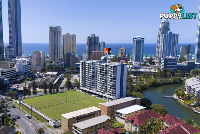 6/59A Peninsular Drive SURFERS PARADISE QLD 4217