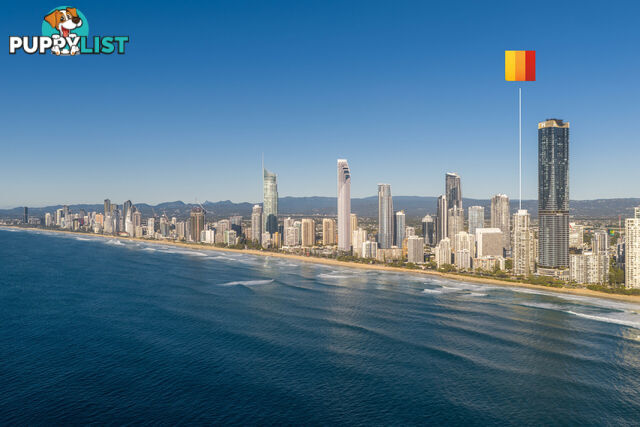 22A/80 The Esplanade SURFERS PARADISE QLD 4217