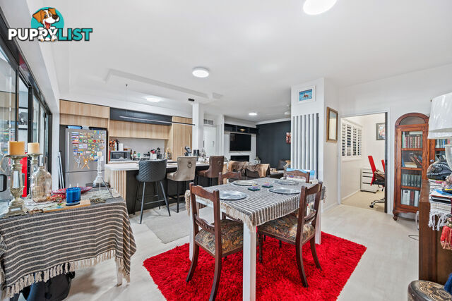 4/8 Parnoo Street SURFERS PARADISE QLD 4217