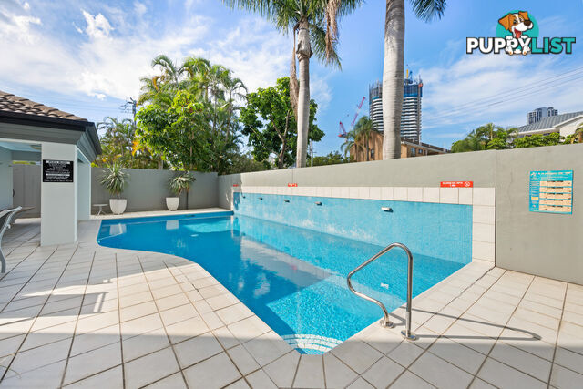 4/8 Parnoo Street SURFERS PARADISE QLD 4217