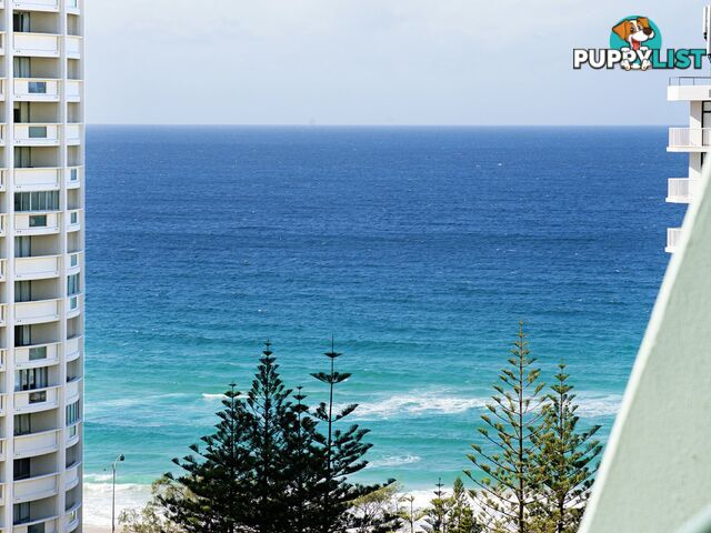 1404 5-19 Palm Avenue SURFERS PARADISE QLD 4217