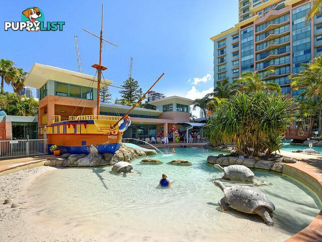 1404 5-19 Palm Avenue SURFERS PARADISE QLD 4217