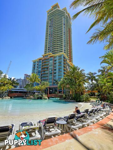 1404 5-19 Palm Avenue SURFERS PARADISE QLD 4217