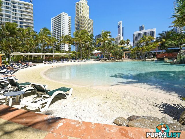 1404 5-19 Palm Avenue SURFERS PARADISE QLD 4217