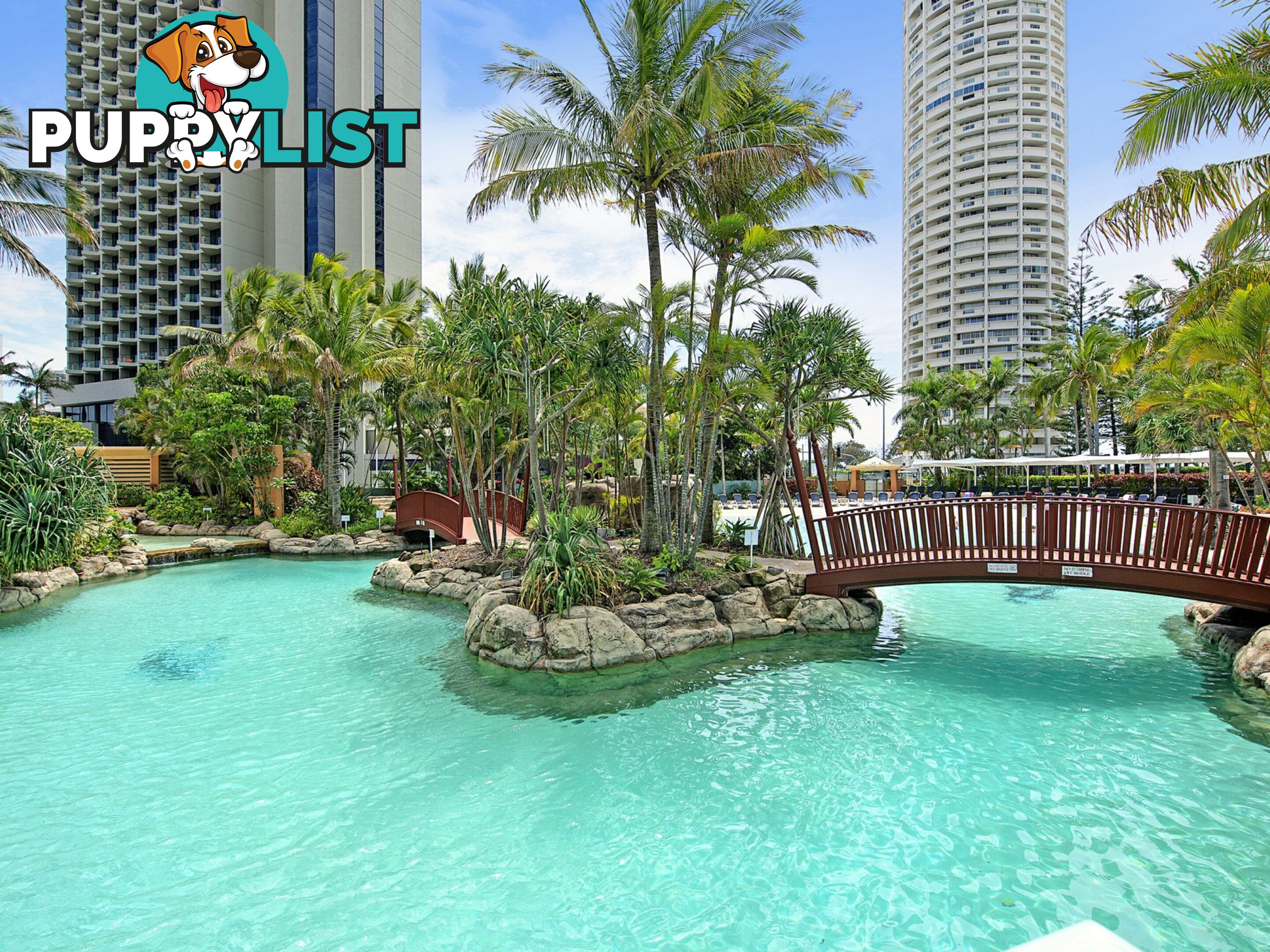 1404 5-19 Palm Avenue SURFERS PARADISE QLD 4217