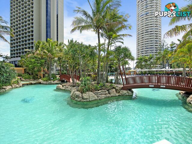 1404 5-19 Palm Avenue SURFERS PARADISE QLD 4217