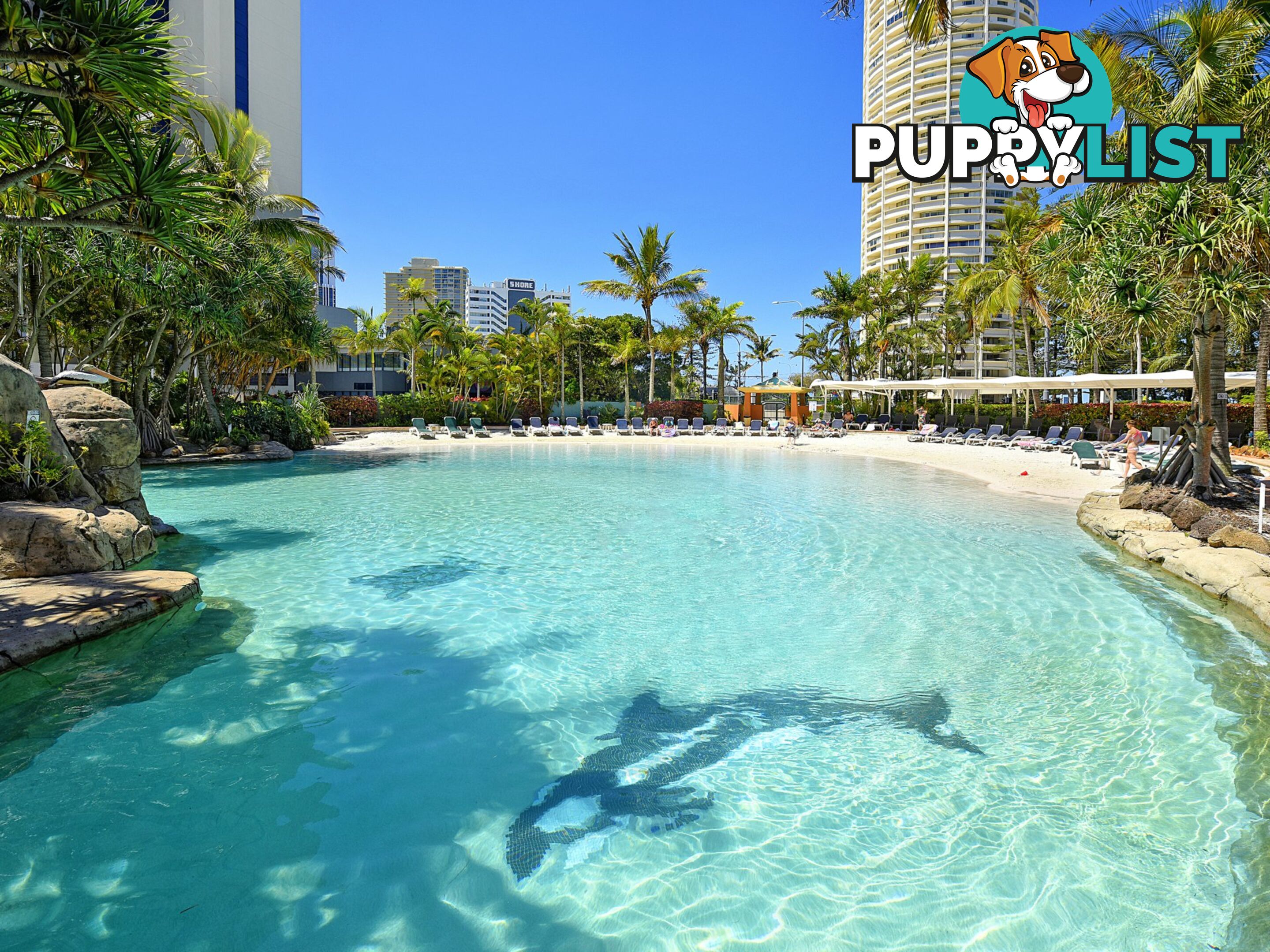 1404 5-19 Palm Avenue SURFERS PARADISE QLD 4217