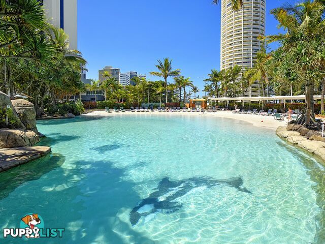 1404 5-19 Palm Avenue SURFERS PARADISE QLD 4217