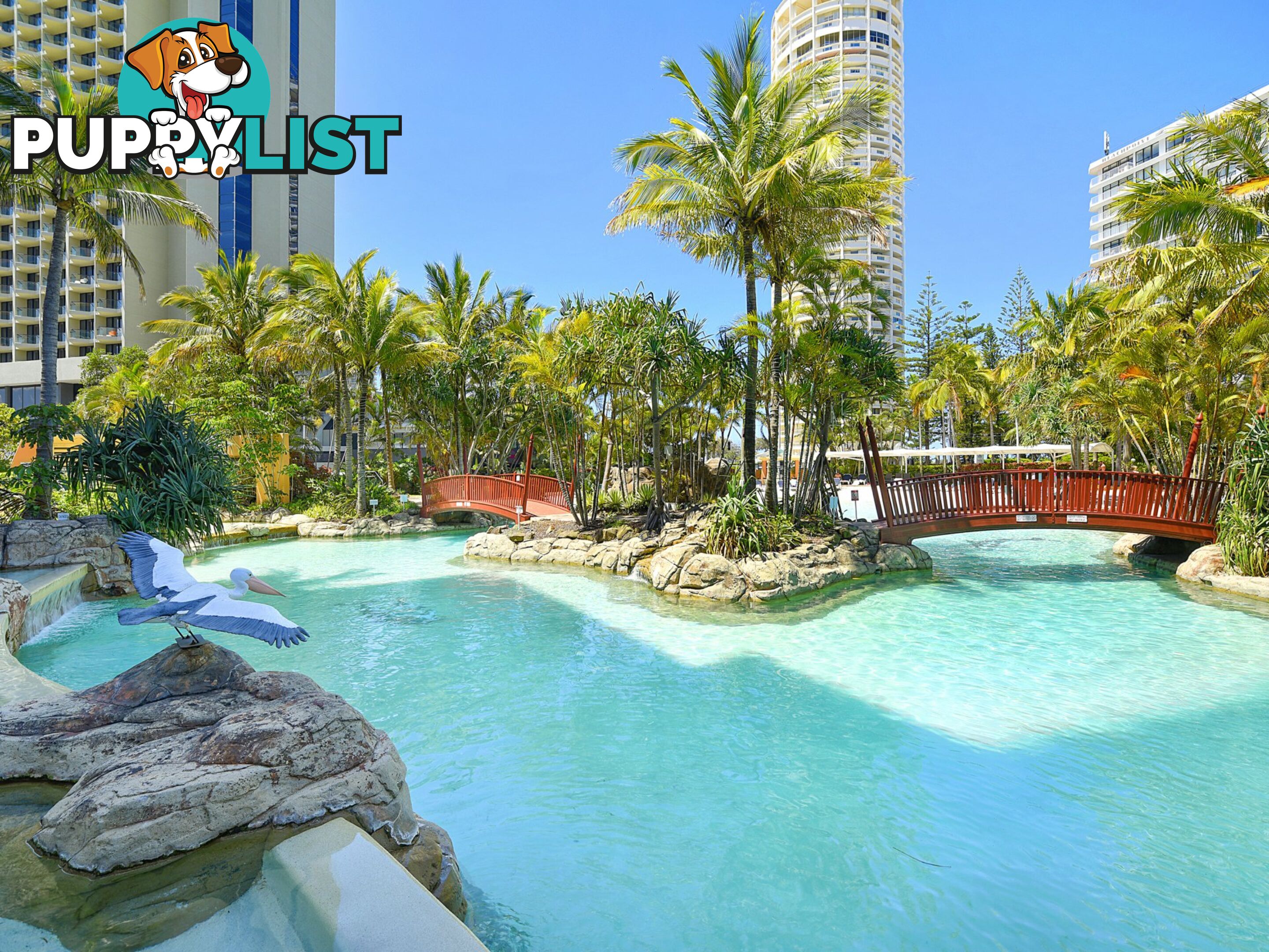 1404 5-19 Palm Avenue SURFERS PARADISE QLD 4217