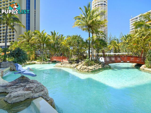 1404 5-19 Palm Avenue SURFERS PARADISE QLD 4217