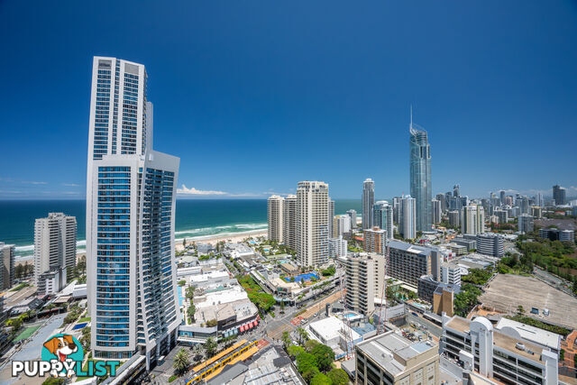 1291/9 Ferny Avenue SURFERS PARADISE QLD 4217