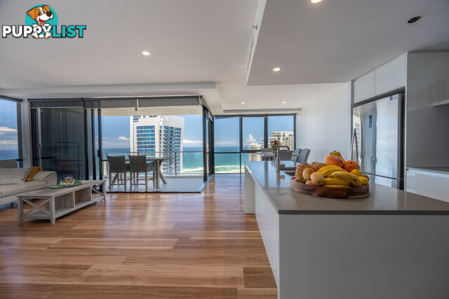 1291/9 Ferny Avenue SURFERS PARADISE QLD 4217