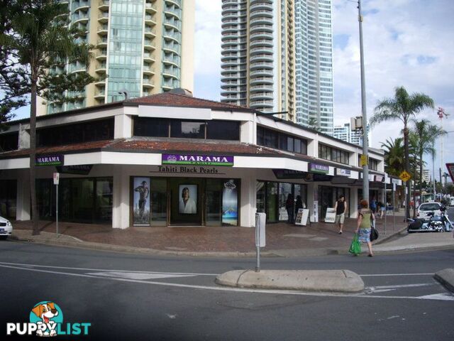 SURFERS PARADISE QLD 4217