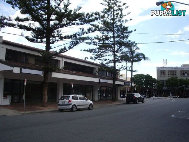 SURFERS PARADISE QLD 4217