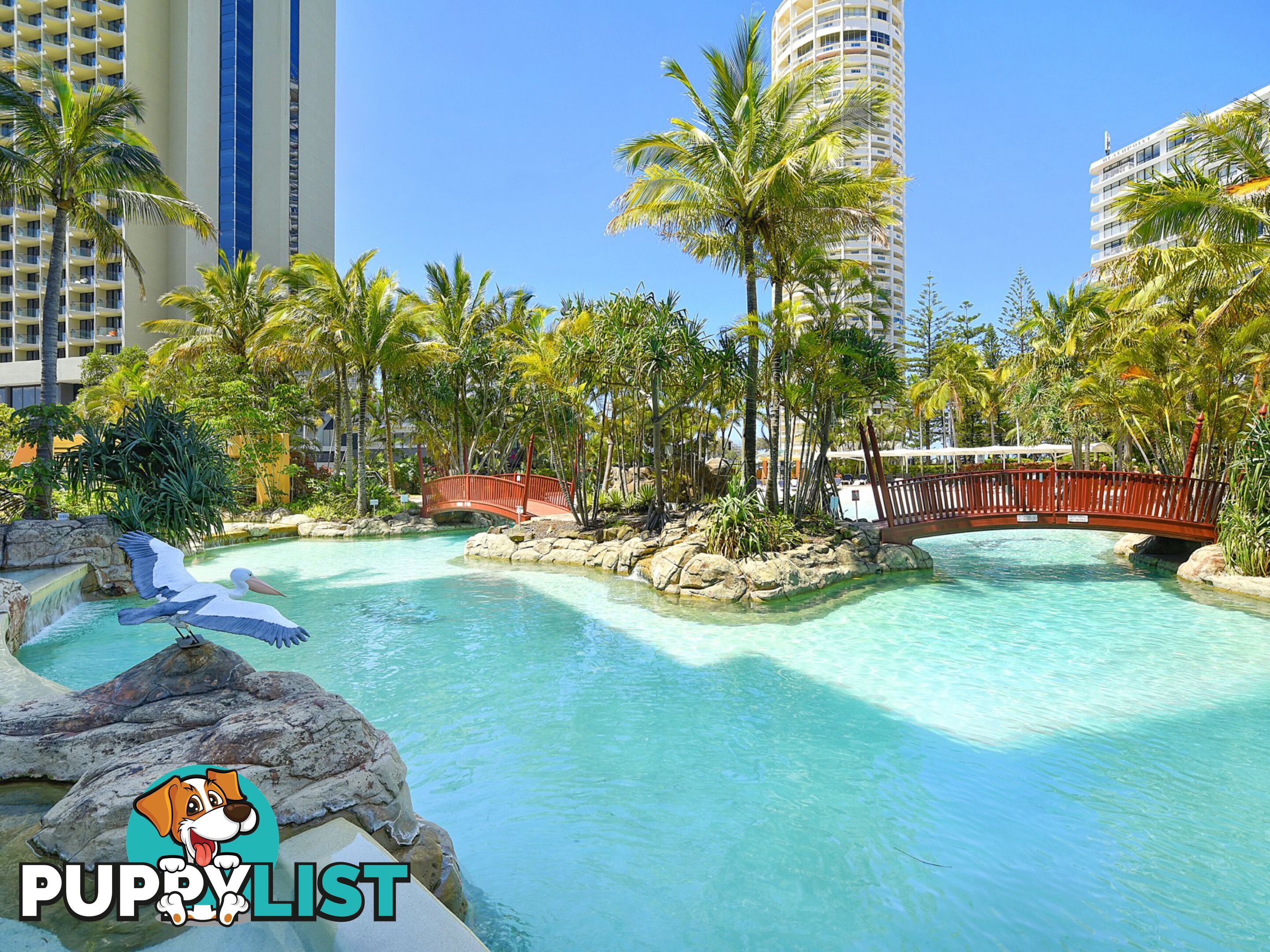 809/5-19 Palm Avenue SURFERS PARADISE QLD 4217