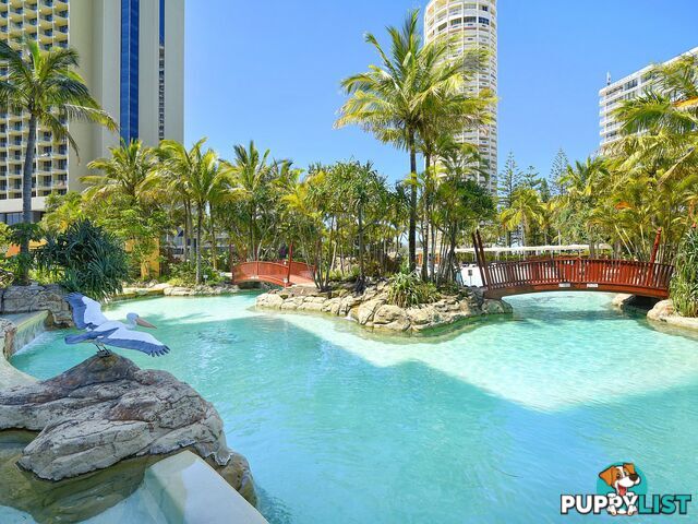 809/5-19 Palm Avenue SURFERS PARADISE QLD 4217