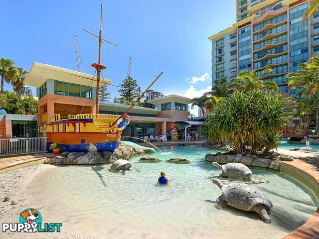 809/5-19 Palm Avenue SURFERS PARADISE QLD 4217