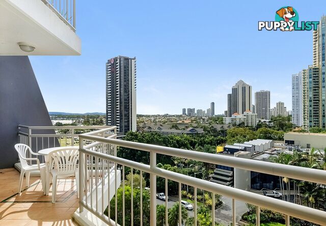 809/5-19 Palm Avenue SURFERS PARADISE QLD 4217