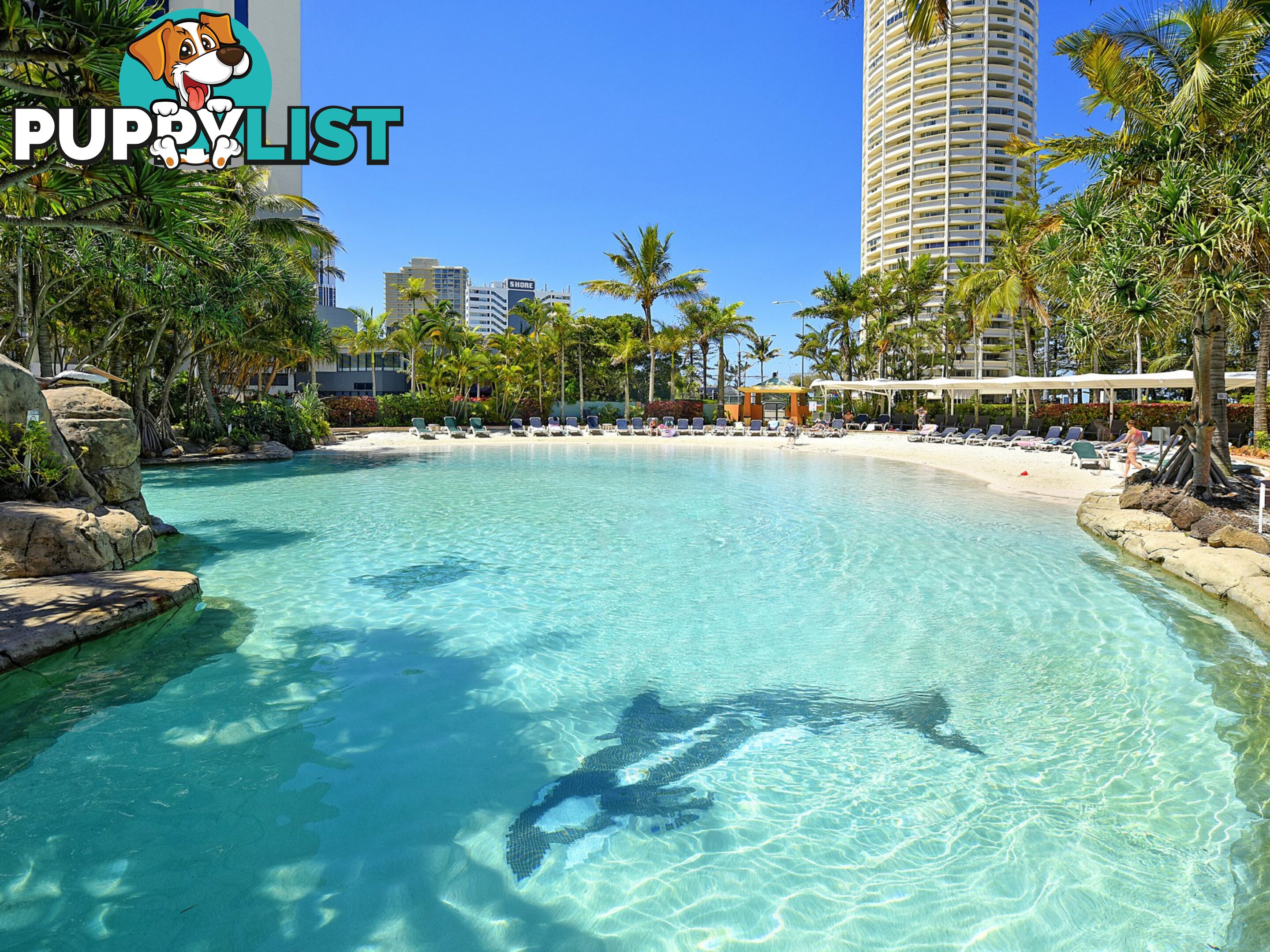 809/5-19 Palm Avenue SURFERS PARADISE QLD 4217