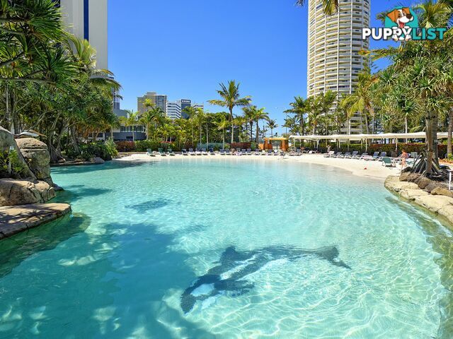 809/5-19 Palm Avenue SURFERS PARADISE QLD 4217