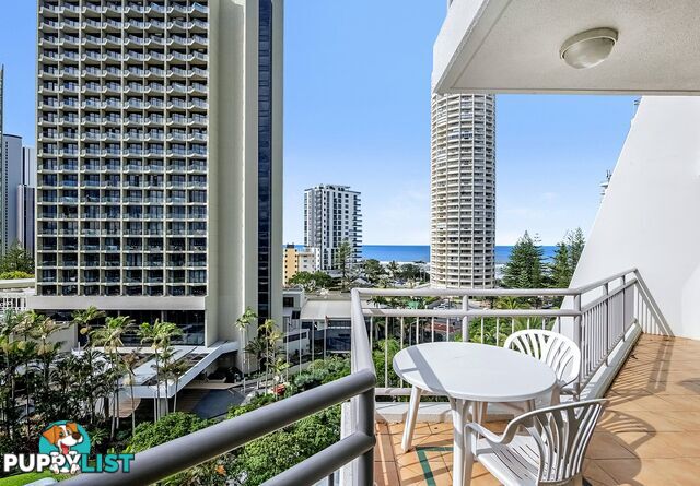 809/5-19 Palm Avenue SURFERS PARADISE QLD 4217