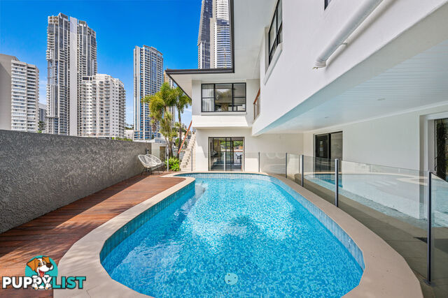 21 Tarcoola Crescent SURFERS PARADISE QLD 4217