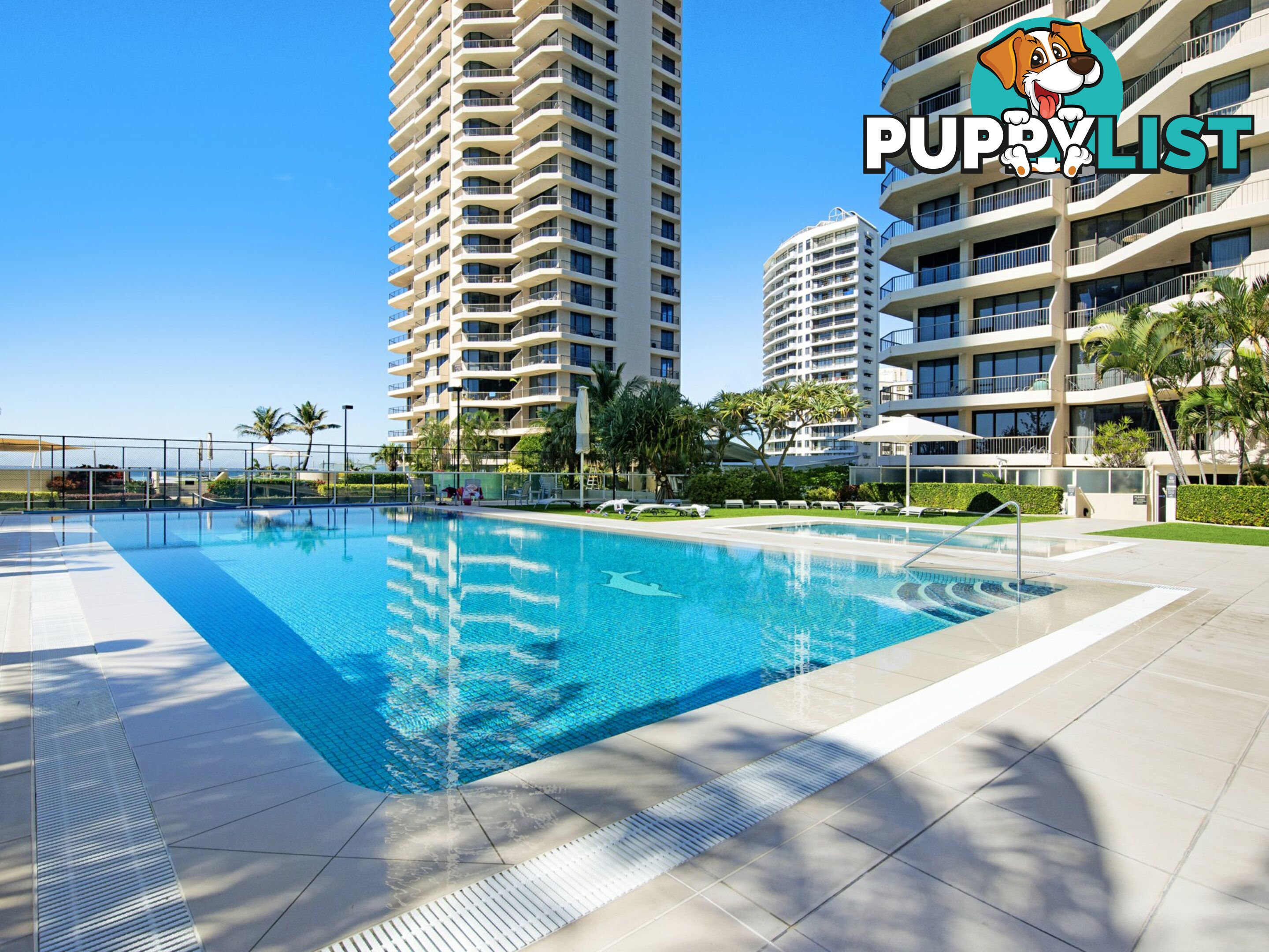 11 Hanlan Street SURFERS PARADISE QLD 4217