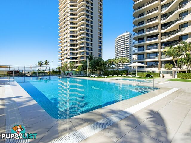 11 Hanlan Street SURFERS PARADISE QLD 4217