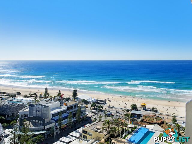 11 Hanlan Street SURFERS PARADISE QLD 4217