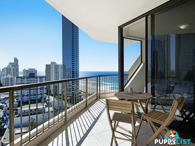 11 Hanlan Street SURFERS PARADISE QLD 4217