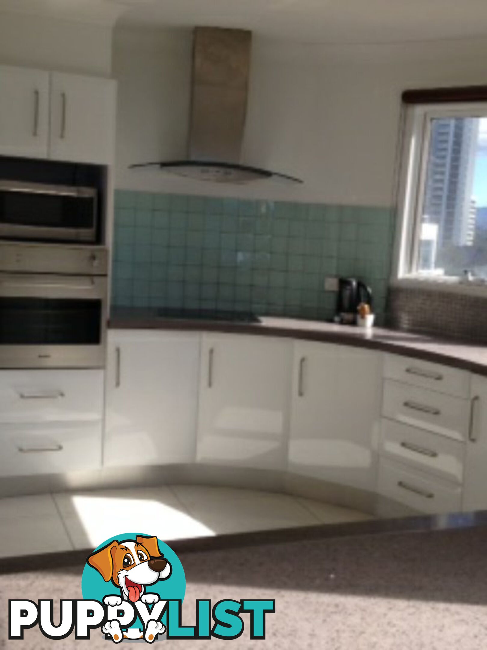 20 The Esplanade SURFERS PARADISE QLD 4217