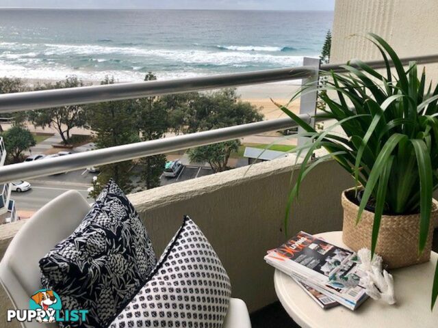 20 The Esplanade SURFERS PARADISE QLD 4217