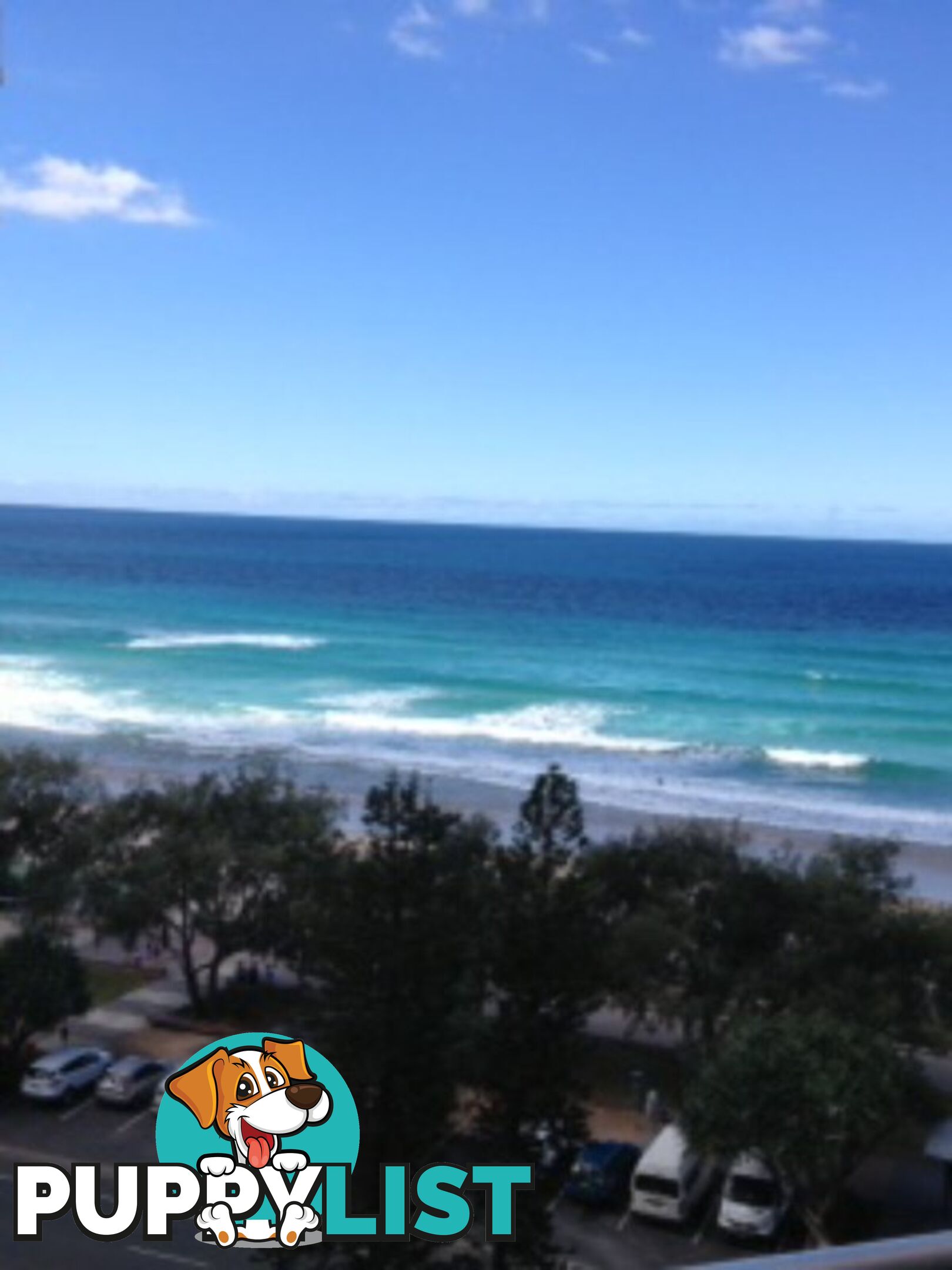 20 The Esplanade SURFERS PARADISE QLD 4217