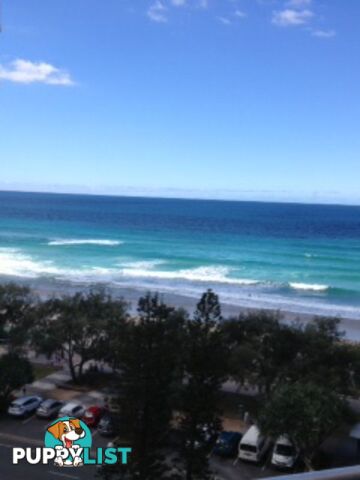 20 The Esplanade SURFERS PARADISE QLD 4217