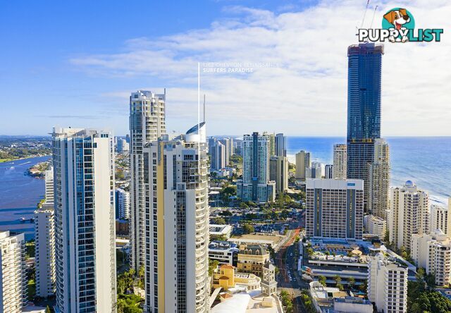 1362/23 Ferny Avenue SURFERS PARADISE QLD 4217