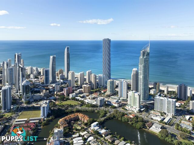 3 Tricket Street SURFERS PARADISE QLD 4217